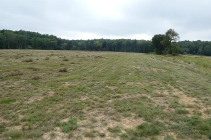 Mud pit after it was closed and the land reclaimed